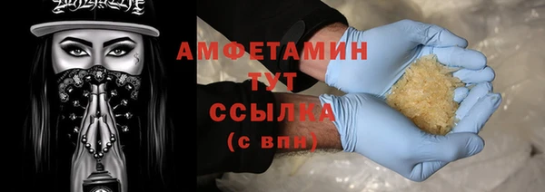 прущие грибы Алзамай