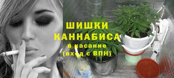 прущие грибы Алзамай