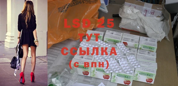 прущие грибы Алзамай