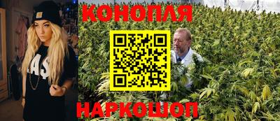 каннабис Гай