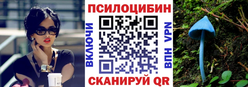 Псилоцибиновые грибы Cubensis  где продают наркотики  гидра вход  Набережные Челны 